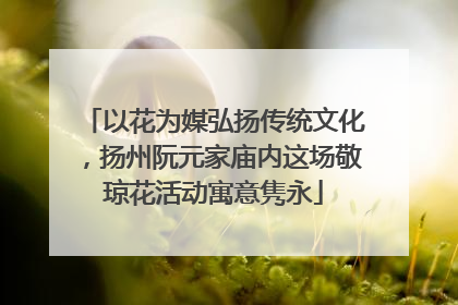 以花为媒弘扬传统文化，扬州阮元家庙内这场敬琼花活动寓意隽永