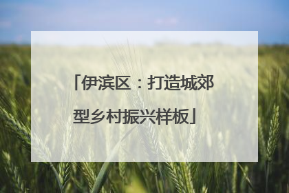 伊滨区：打造城郊型乡村振兴样板