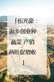 伍光豪：返乡创业种蔬菜 产销两旺促增收
