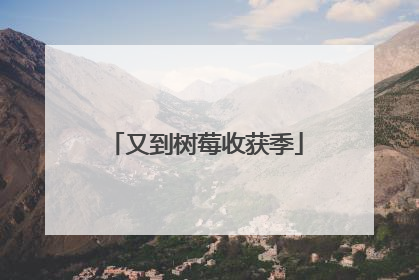 又到树莓收获季