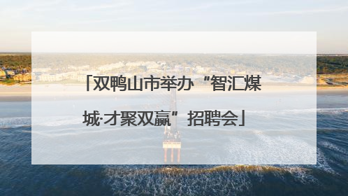 双鸭山市举办“智汇煤城·才聚双赢”招聘会