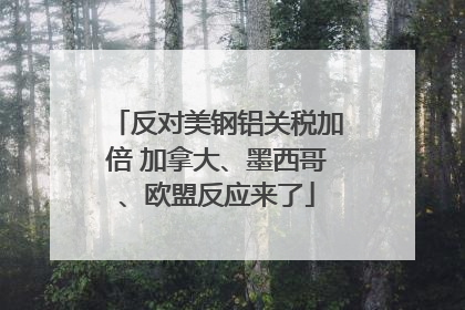 反对美钢铝关税加倍 加拿大、墨西哥、欧盟反应来了