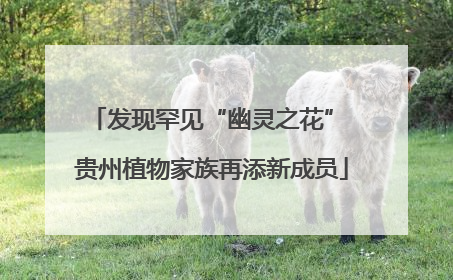 发现罕见“幽灵之花” 贵州植物家族再添新成员