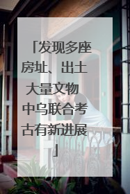 发现多座房址、出土大量文物 中乌联合考古有新进展