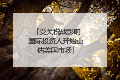 受关税战影响 国际投资人开始重估美国市场