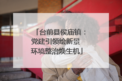台前县侯庙镇：党建引领绘新景 环境整治焕生机
