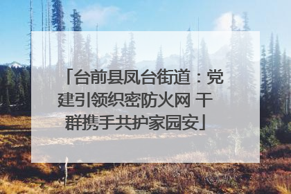 台前县凤台街道：党建引领织密防火网 干群携手共护家园安
