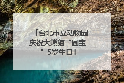 台北市立动物园庆祝大熊猫“圆宝”5岁生日