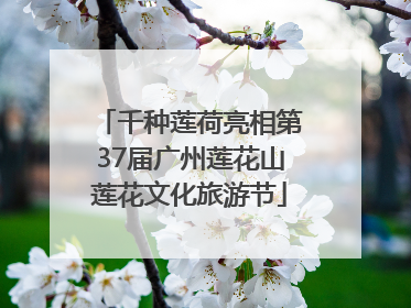 千种莲荷亮相第37届广州莲花山莲花文化旅游节