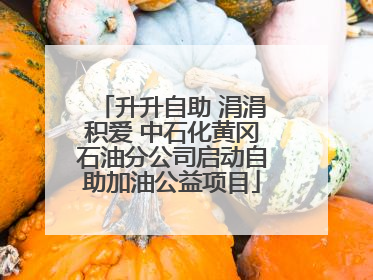 升升自助 涓涓积爱 中石化黄冈石油分公司启动自助加油公益项目
