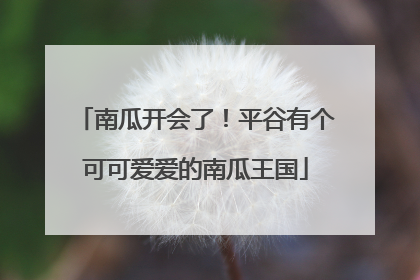 南瓜开会了！平谷有个可可爱爱的南瓜王国