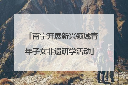 南宁开展新兴领域青年子女非遗研学活动
