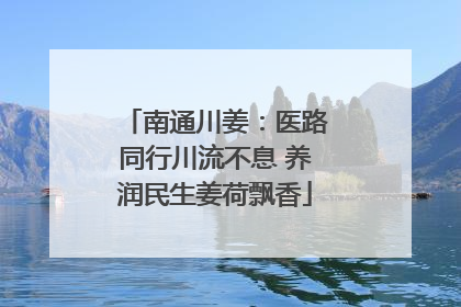 南通川姜：医路同行川流不息 养润民生姜荷飘香