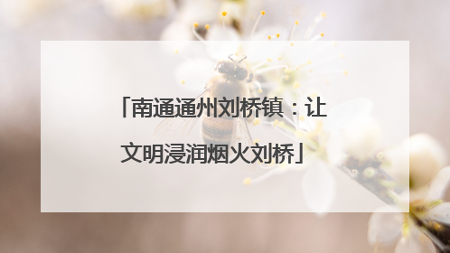 南通通州刘桥镇：让文明浸润烟火刘桥