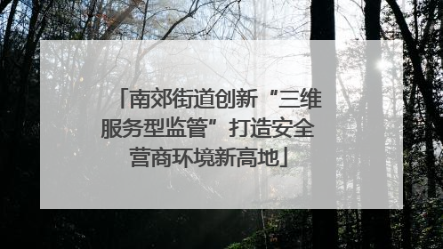 南郊街道创新“三维服务型监管”打造安全营商环境新高地
