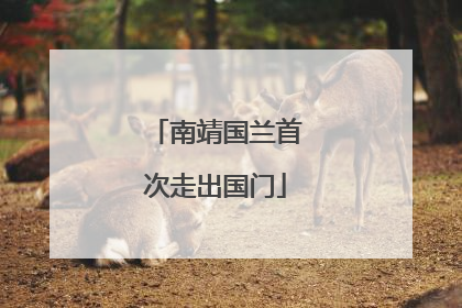 南靖国兰首次走出国门