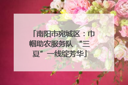 南阳市宛城区：巾帼助农服务队 “三夏”一线绽芳华