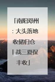 南阳邓州：大头落地 收储归仓丨战三夏保丰收