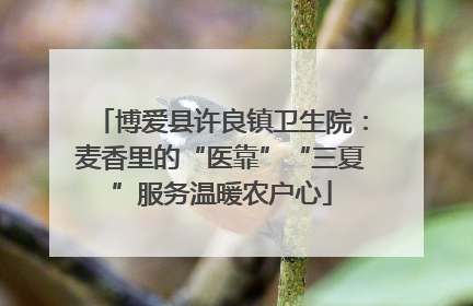 博爱县许良镇卫生院：麦香里的“医靠”“三夏”服务温暖农户心