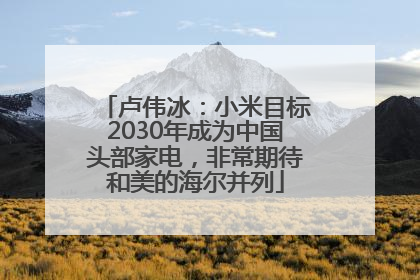 卢伟冰：小米目标2030年成为中国头部家电，非常期待和美的海尔并列