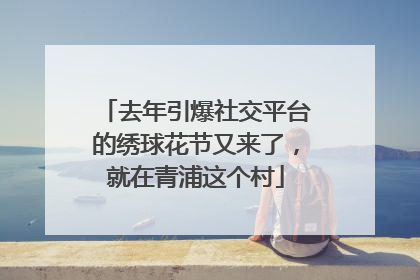 去年引爆社交平台的绣球花节又来了，就在青浦这个村