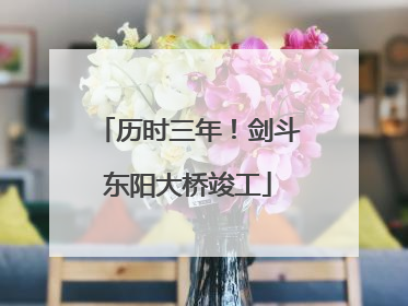 历时三年！剑斗东阳大桥竣工