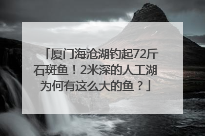 厦门海沧湖钓起72斤石斑鱼！2米深的人工湖为何有这么大的鱼？