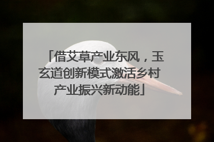 借艾草产业东风，玉玄道创新模式激活乡村产业振兴新动能