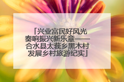 兴业富民好风光 奏响振兴新乐章——合水县太莪乡黑木村发展乡村旅游纪实