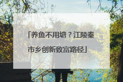养鱼不用塘？江陵秦市乡创新致富路径