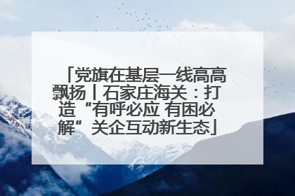 党旗在基层一线高高飘扬丨石家庄海关：打造“有呼必应 有困必解”关企互动新生态