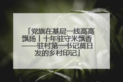 党旗在基层一线高高飘扬丨十年驻守米飘香——驻村第一书记莫日发的乡村印记