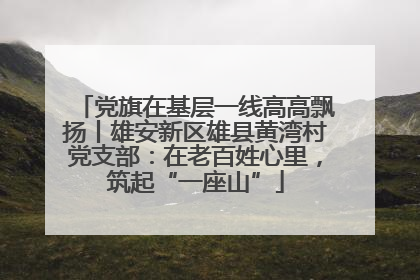 党旗在基层一线高高飘扬丨雄安新区雄县黄湾村党支部：在老百姓心里，筑起“一座山”