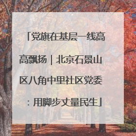党旗在基层一线高高飘扬｜北京石景山区八角中里社区党委：用脚步丈量民生