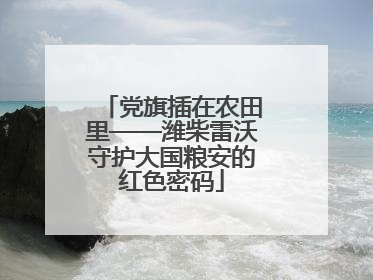 党旗插在农田里——潍柴雷沃守护大国粮安的红色密码