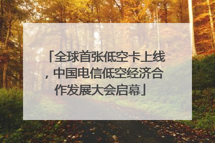 全球首张低空卡上线，中国电信低空经济合作发展大会启幕