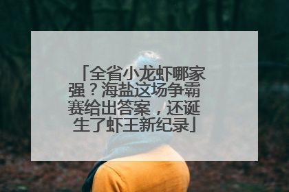全省小龙虾哪家强？海盐这场争霸赛给出答案，还诞生了虾王新纪录