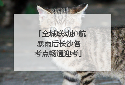 全城联动护航 暴雨后长沙各考点畅通迎考
