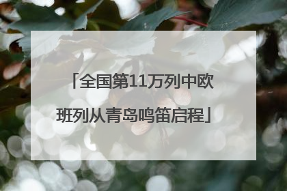 全国第11万列中欧班列从青岛鸣笛启程