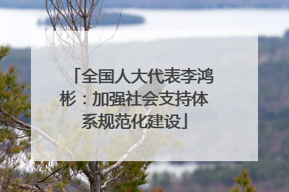 全国人大代表李鸿彬：加强社会支持体系规范化建设