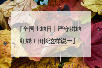 全国土地日丨严守耕地红线！田长这样说→