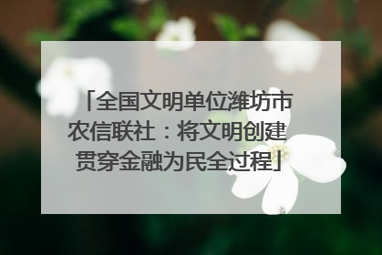 全国文明单位潍坊市农信联社：将文明创建贯穿金融为民全过程
