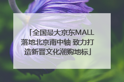 全国最大京东MALL落地北京南中轴 致力打造新晋文化潮购地标