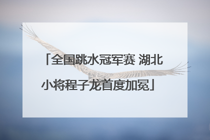全国跳水冠军赛 湖北小将程子龙首度加冕