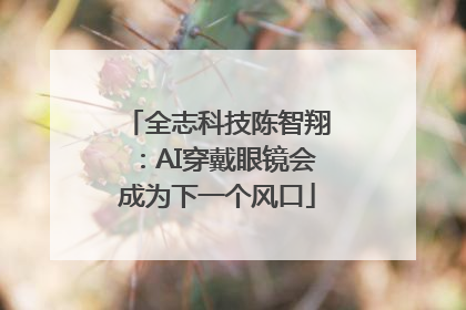 全志科技陈智翔：AI穿戴眼镜会成为下一个风口