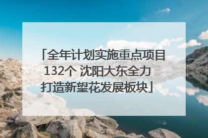 全年计划实施重点项目132个 沈阳大东全力打造新望花发展板块