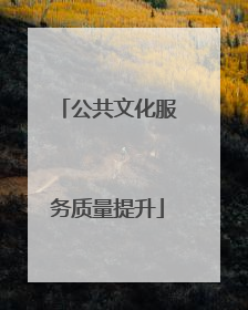 公共文化服务质量提升