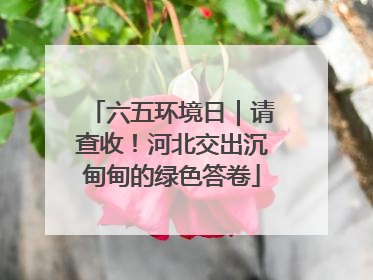 六五环境日｜请查收！河北交出沉甸甸的绿色答卷
