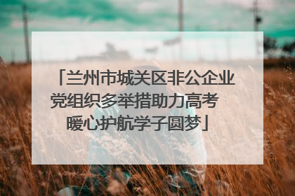 兰州市城关区非公企业党组织多举措助力高考 暖心护航学子圆梦