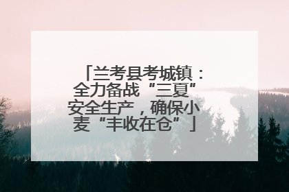 兰考县考城镇：全力备战“三夏”安全生产，确保小麦“丰收在仓”